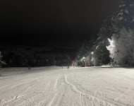 Podbreziny